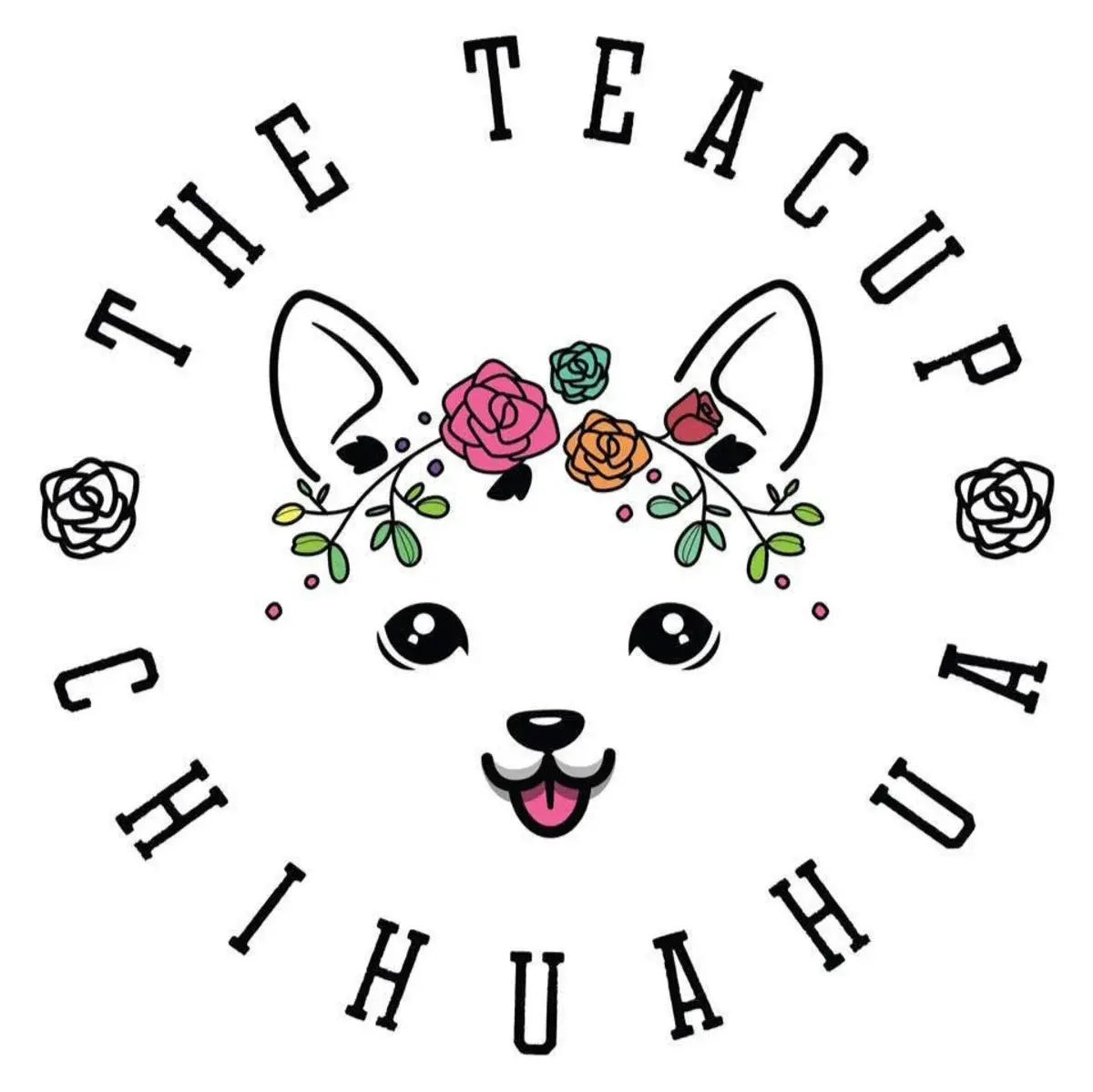 The Teacup Chihuahua