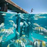 Playa Crash Boat - Foto 4