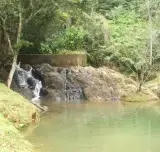 Charco Azul Patillas - Foto 3