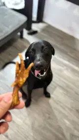 Khali’s - Foto 2
