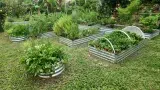 Finca Felicie - Foto 3